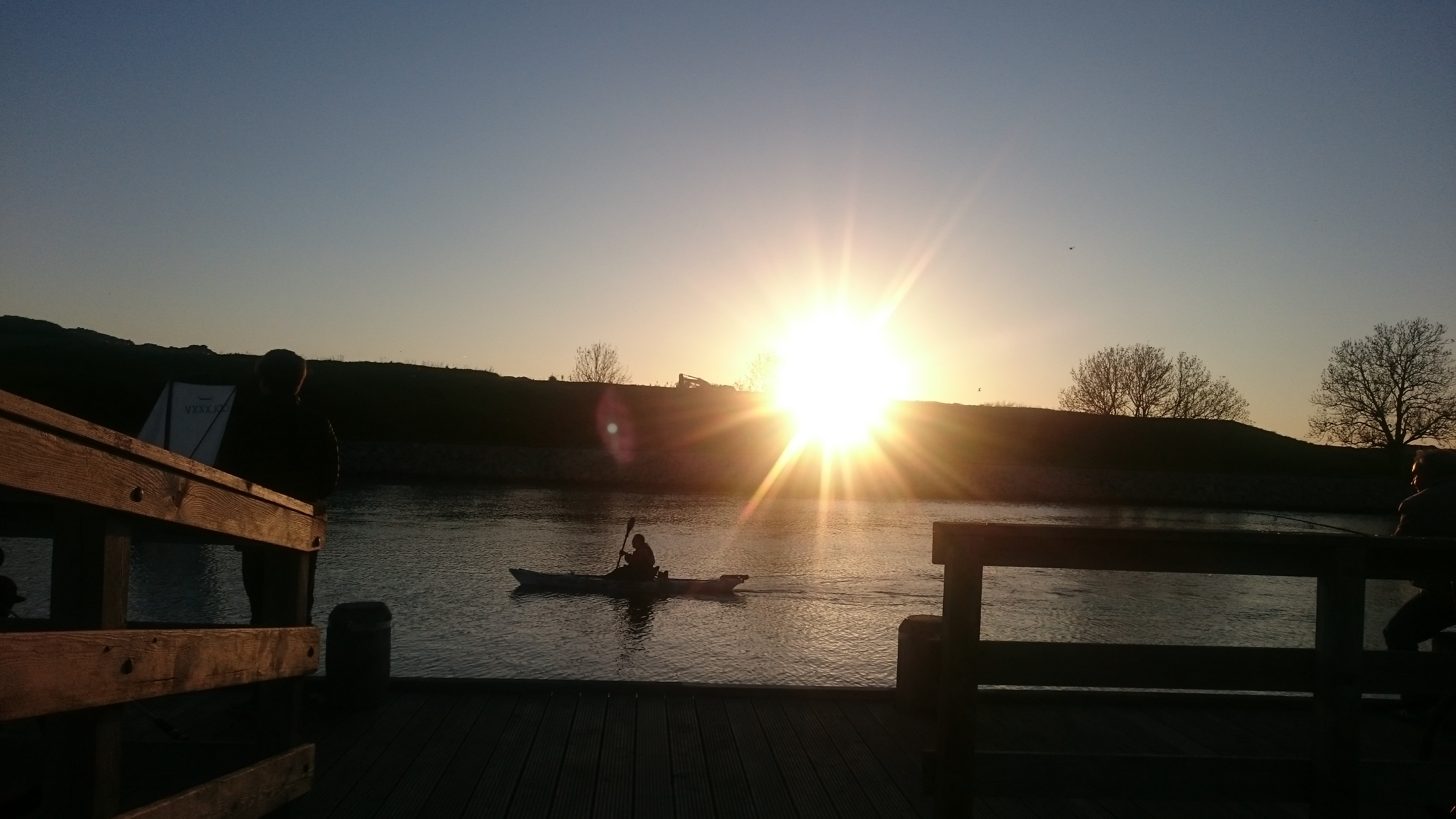 Life- & Business Coach