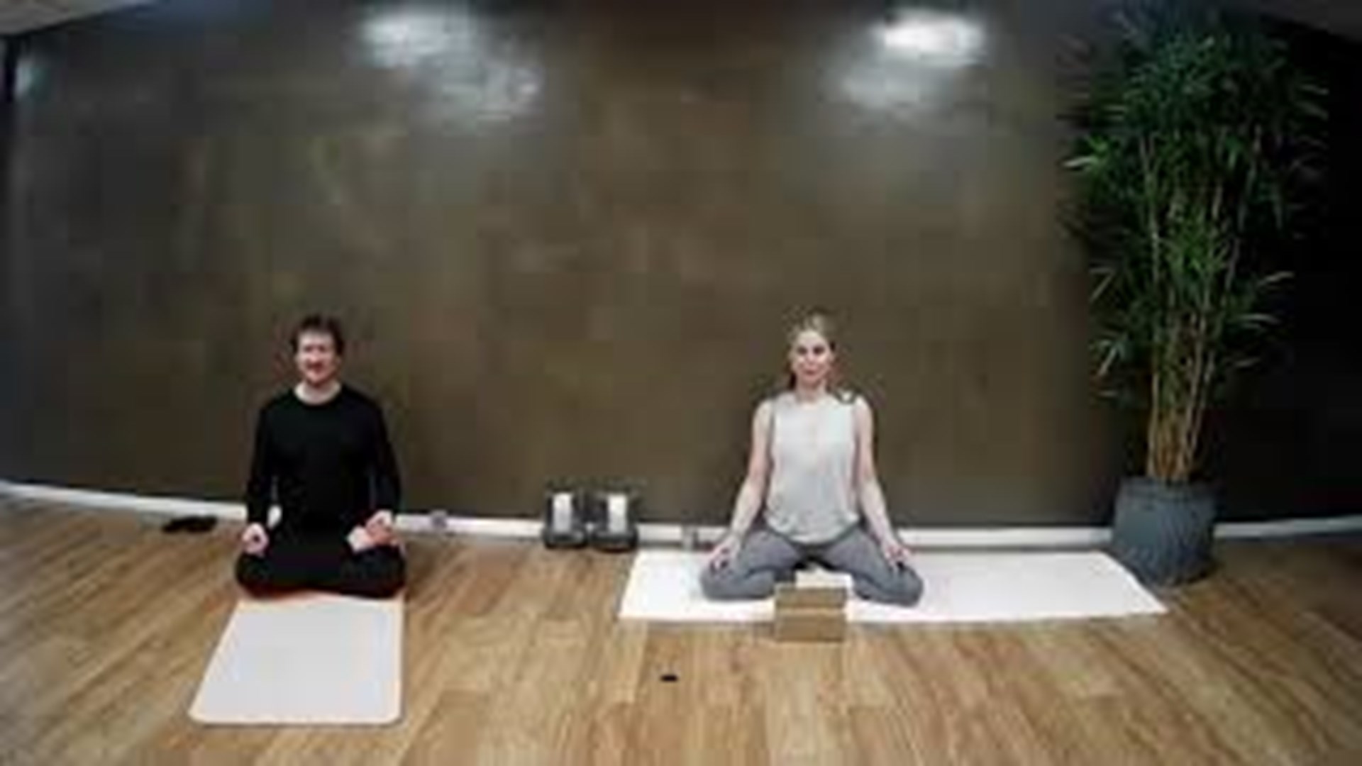 17.2.2021 - Bindevævsyoga - ryg/nakke - 60 min. med Charlott Krum