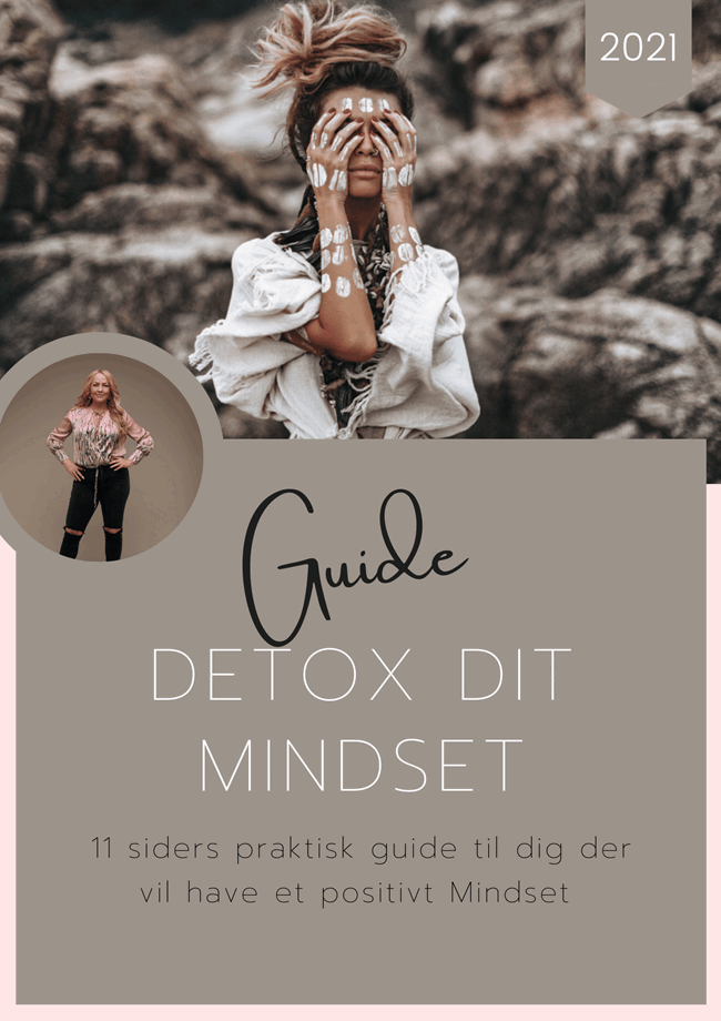 Workbook: Detox Dit Mindset 