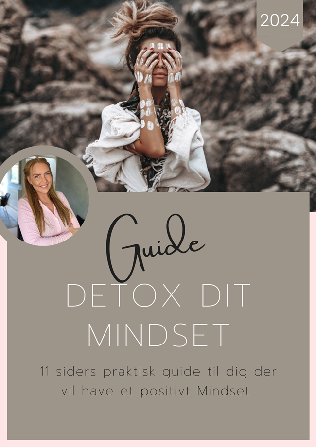 Detox dit mindset - Praktisk guide