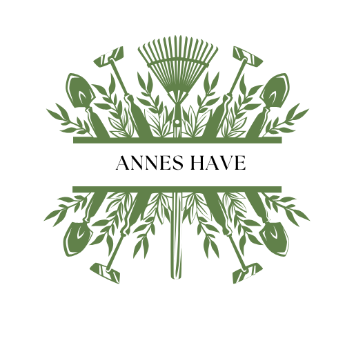 Anne brietzke